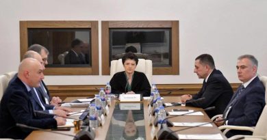 Цулукиани: ни один из послов с 2012 года не проявлял уважения к нашему суверенитету