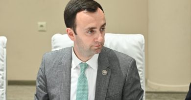 Депутат «Мечты»: надеюсь, президент Трамп не подпишет MEGOBARI Act