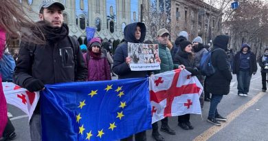 Для поддержки оштрафованных на проевропейских митингах создан «Фонд свободы»