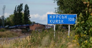 Дроны атаковали несколько регионов РФ, погибла женщина
