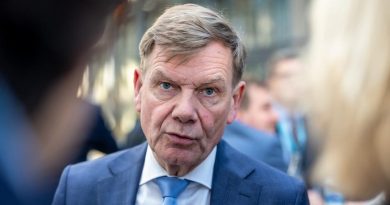 Глава МИД ФРГ: РФ должна сделать решающий шаг к миру в Украине