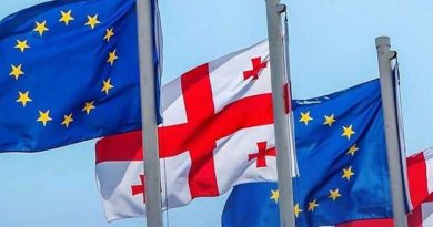 Грузинские НПО: грузинское общество готово бороться за защиту европейских ценностей
