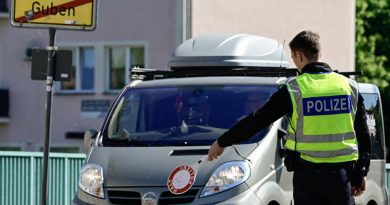 Из ФРГ за два дня высланы 78% нелегальных мигрантов, задержанных на границе