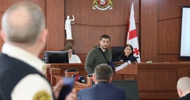 Эксперт по делу Мзии Амаглобели утверждает, что на лице начальника полиции, получившего пощечину, нет следов травмы