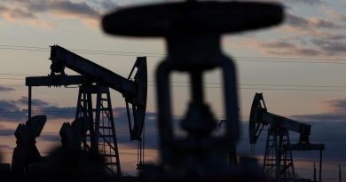Киев просит G7 снизить потолок цены на нефть РФ до 30 долларов