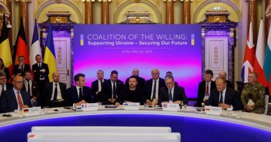 «Коалиция желающих» призвала Россию прекратить огонь с 12 мая