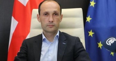 Леван Давиташвили об авиасообщении между РФ и Сухуми: это противоречит принципам ИКАО