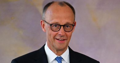 Мерц раскритиковал США за «абсурдный» образ Германии