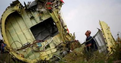Международная организация гражданской авиации признала Россию ответственной за сбитие MH17