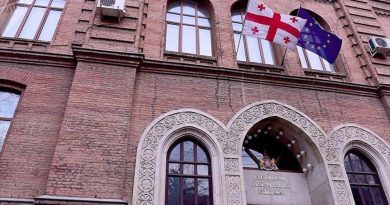 МИД Грузии об авиарейсе Москва-Сухуми: грубое нарушение суверенитета Грузии