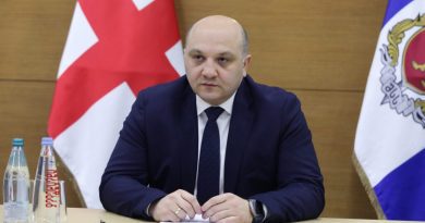 МВД Грузии получит право выдворять иностранца, нарушившего правила пребывания на акции протеста