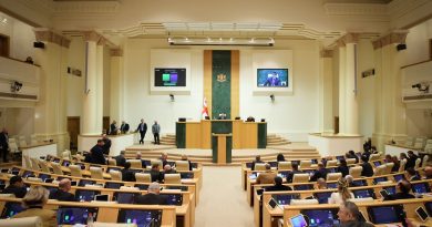 О чем будет говориться в спецзаявлении парламента Грузии в ответ на MEGOBARI Act