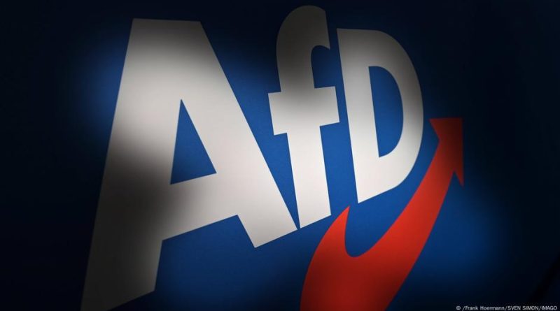 Опрос: 48% немцев поддержали бы запрет «Альтернативы для Германии»