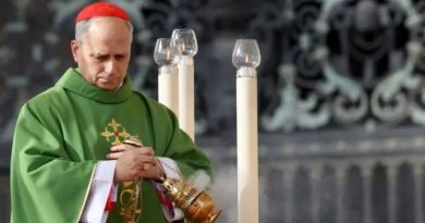 Папа Лев XIV: американский миссионер в Перу, критиковавший вице-президента США. Что известно о новом папе римском