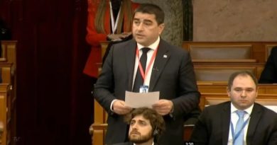 Папуашвили: я представляю правительство, которое сделало больше всего для продвижения Грузии в ЕС