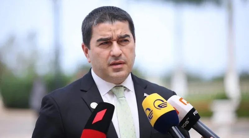 Папуашвили: отношения между Грузией и Брюсселем находятся в плену политического контекста