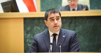 Парламент Грузии — о MEGOBARI Act: Конгресс США, некогда известный как цитадель демократии, подорвал свой имидж