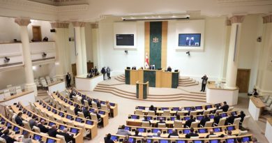 Парламент Грузии одобрил пакет поправок о запрете политических партий