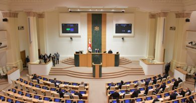 Парламент Грузии примет спецзаявление в ответ на MEGOBARI Act
