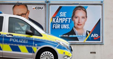Поляризация общества: в Германии спорят о том, как обращаться с ультраправой АдГ