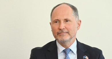 Посол ЕС: все больше стран вводят санкции против ответственных за насилие в Грузии