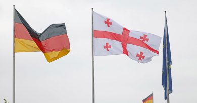 Посольство Германии в Грузии: там, где нет свободы прессы, нарушения прав человека – обычное явление