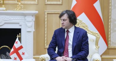 Премьер Грузии: молчание США в ответ на наше письмо — «очень важный ответ»