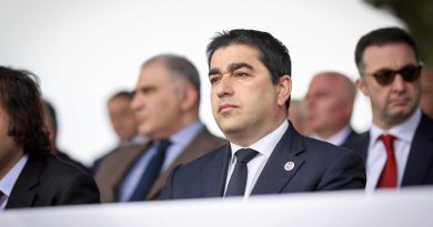 Присутствие посла Германии на суде Амаглобели — показать, что «большой брат» следит за судьей