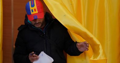Румыния видит «признаки российского вмешательства» в выборы