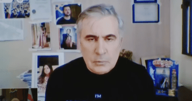Саакашвили: задача следственной комиссии – изменение генетического кода грузинского народа