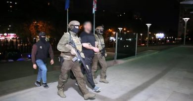 СГБ Грузии задержало иностранного гражданина, разыскиваемого по циркуляру Интерпола