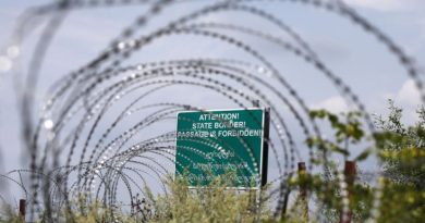 СГБ: оккупационные силы незаконно задержали трех граждан Грузии