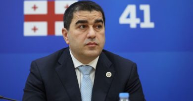 Шалва Папуашвили: бюджет ЕС стал средством продвижения пропаганды, языка ненависти и насилия