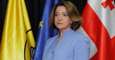«Сильная Грузия»: мы сделали все для создания единого оппозиционного формата, который не состоялся