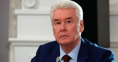 Собянин: над Москвой сбиты 19 беспилотников