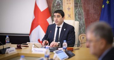 Спикер: Германия в Грузии финансирует тех, кто не признает легитимность властей Грузии, но у себя запрещает группировку «Королевство Германия»