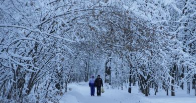 В большей части Подмосковья восстановили электроснабжение
