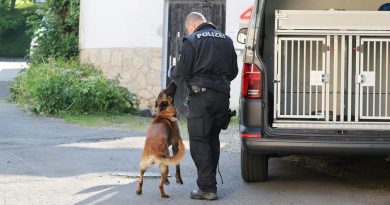 В ФРГ арестован основатель группировки «Королевство Германия»
