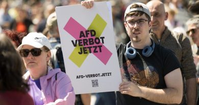 В городах ФРГ прошли митинги за запрет «Альтернативы для Германии»
