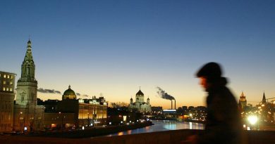 В Москве арестовали журналистку из‑за акции «Putin — Hitler»