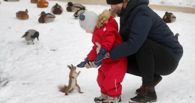 В Москве и Подмосковье прошел рекордный за 116 лет снегопад