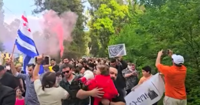 Жители Кобулети провели акцию против продажи инвестору, их родовых земель