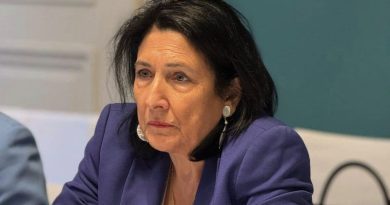 Зурабишвили: Чикваидзе и Папиашвили были наказаны потому, что не выполнили поручений Иванишвили
