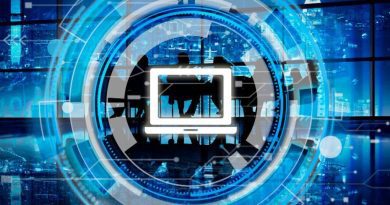 Гордуладзе: Грузия станет IT-хабом