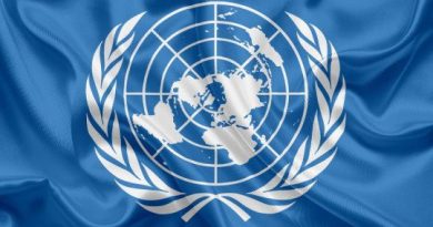 Генассамблея ООН приняла резолюцию о правах ВПЛ и беженцев из оккупированных регионов Грузии