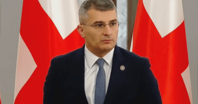 მამუკა მდინარაძე: „თუ ვინმეს ხელი წაუცდება, სახელმწიფო შეურიგებელი იქნება“
