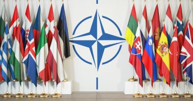 НАТО готовит «взрывоопасный занавес»: страны Восточной Европы собираются заминировать границу с Россией