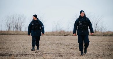 На границе с Турцией задержаны пятеро иностранцев: один из них ранил грузинского пограничника