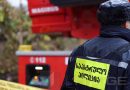 Жестокое убийство женщины в селе Тирдзниси под Гори