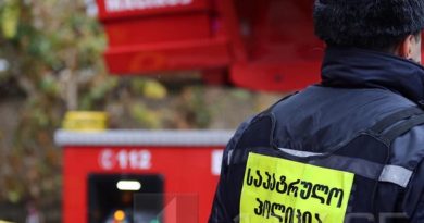 Жестокое убийство женщины в селе Тирдзниси под Гори